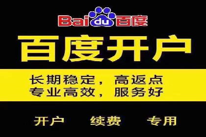 百度竞价推广运营策略：成功案例解析